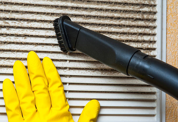 Best Dryer Vent Cleaning Services  in Chestnut Ridge, NY